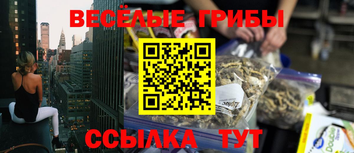 Галлюциногенные грибы Psilocybe  Вход с VPN  Котовск  Галлюциногенные грибы Psilocybe 